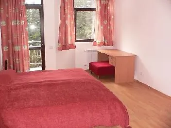 Flora And Complex 4* Borovets